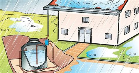 How To Collect Rainwater For Drinking Best Easy Ways