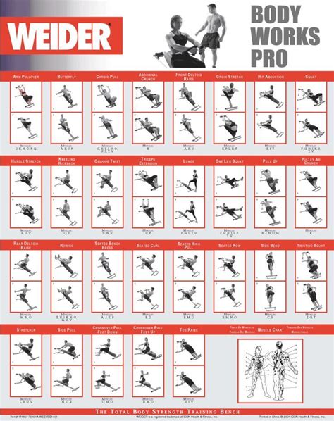 Most Popular Total Gym Chart Routine Exercise Chart For Gym Exercise