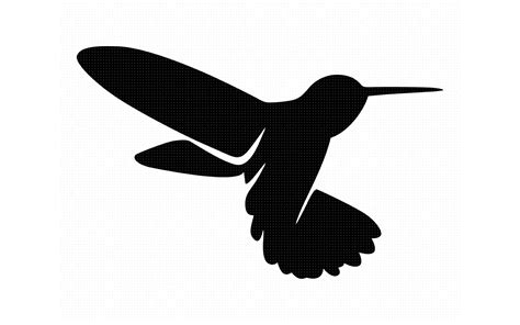 Bird Silhouette Cut File Colibri Bird Svg Silhouette Png Digital