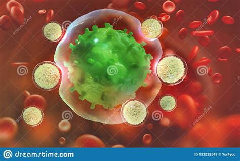 Leukocytes Attack The Virus Immunity Of The Body Stock