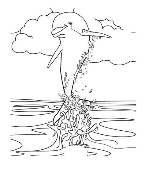 jump  splash   body dolphin coloring page kids play color