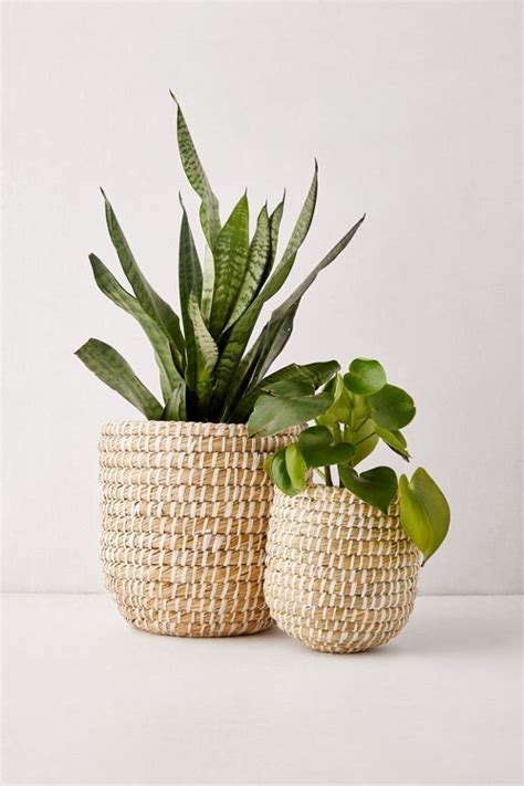 Pin By Heiruem On Flower Plants Natural Baskets Plant Basket Basket