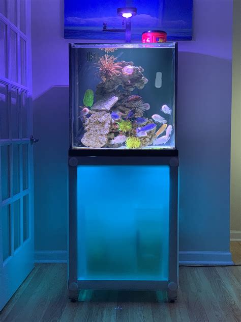 60 Gallon Cube Aquarium W Custom Aluminum Stand The Hull Truth