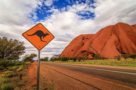 1 Day Uluru Tour Start Ayers Rock End Alice Springs Emu Run