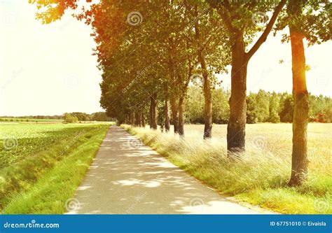 Idyllic Footpath Through Fields And Forest Stock Photo Image Of Area