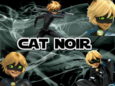 We offer an extraordinary number of hd images that will instantly freshen up your. Miraculous Cat Noir wallpaper by NathaliaTMNTlover on DeviantArt