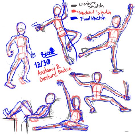 Anatomy And Gesture Practice By Bioarthub On Deviantart