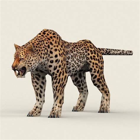 Leopard 3d Model By 3dseller