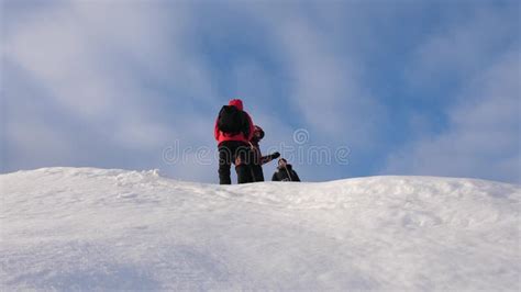 Alpenists Team In Winter Down Rope From Mountain Travelers Descend By