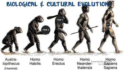 Biological And Cultural Evolution By Prezi Trial On Prezi