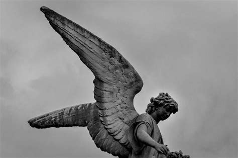 1100 Black And White Angel Statue Stock Photos Pictures And Royalty