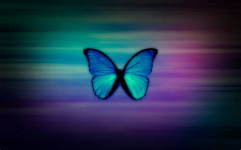 Cool Butterfly Background 1600x1000 Download Hd Wallpaper