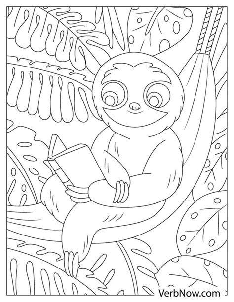 Free Sloth Coloring Pages And Book For Download Printable Pdf Verbnow