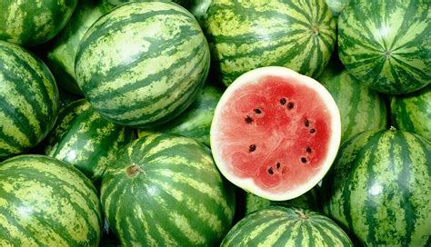 Sometimes it seems that choosing a good one is difficult and only farmers can do it well. Watermelon For Erectile Dysfunction, Cancer, More