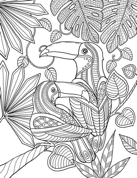 17 Best images about animaux de la jungle & des forêts chaudes on Pinterest