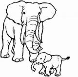 Coloring Elephants Printable Animals Justcolor Children sketch template