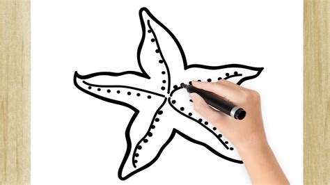 Como Dibujar Una Estrella De Mar Youtube