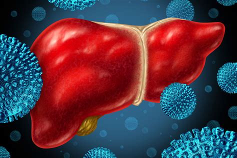 Li tp, guan sh, wang q, chen lw, yang k, zhang h. Hepatitis - Wenn die Leber entzündet ist - Wien