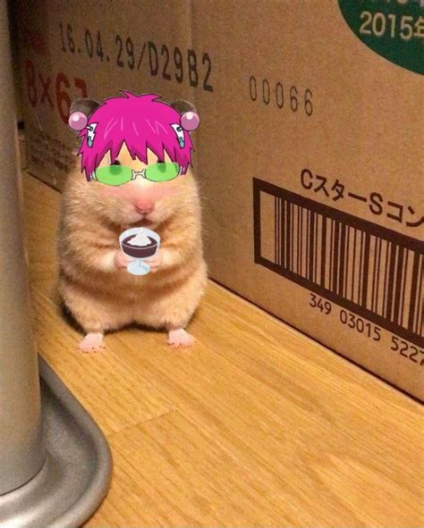 Saiki Hampster In 2021 Funny Anime Pics Saiki Kusuo Saiki