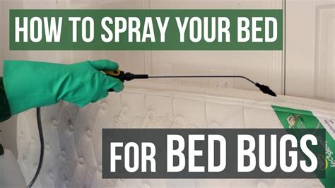 How To Spray Your Bed For Bed Bugs Youtube