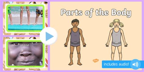 Body Parts Powerpoint Twinkl Primary Resources