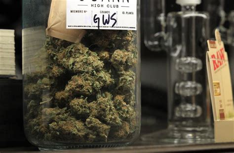 aumenta el precio de venta del cannabis en las farmacias de uruguay cronicas