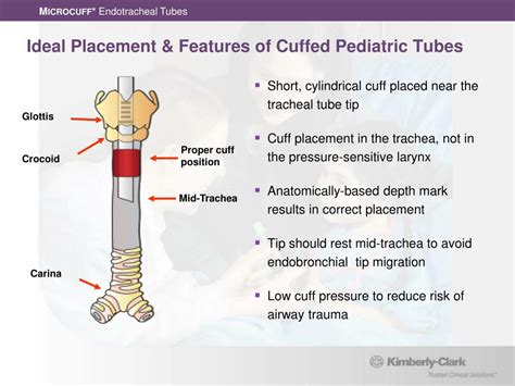 PPT M ICROCUFF Pediatric Endotracheal Tubes PowerPoint Presentation