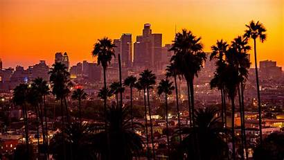 Sunset Palm Trees Angeles 4k Buildings Skyscrapers