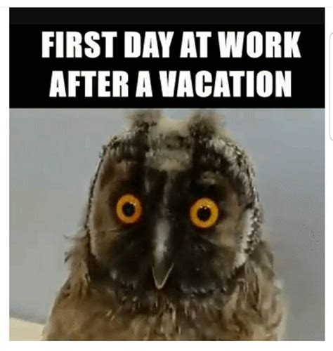 √ First Day Back To Work After Quarantine Meme Complete Updated News