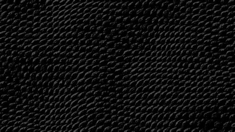 Download these snake skin background or photos and you can use them for many purposes, such as banner, wallpaper, poster background as well as powerpoint background and website background. Black Snake Skin in 2019 | Dark black wallpaper, Snake ...