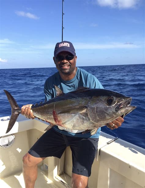 Tuna Fishing Miami Blackfin Tuna Fishing Charters