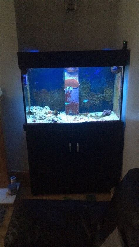 Aqua One Aquareef 300 Marine Fish Tank With Sump And 4x39w T5 Lights