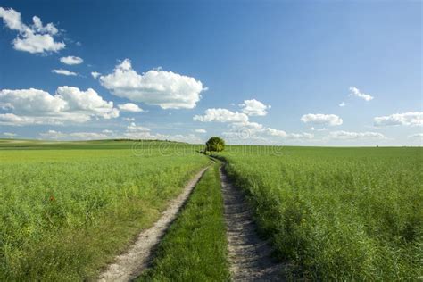 Green Fields And Long Road Stock Photo Image Of Blue 138864070