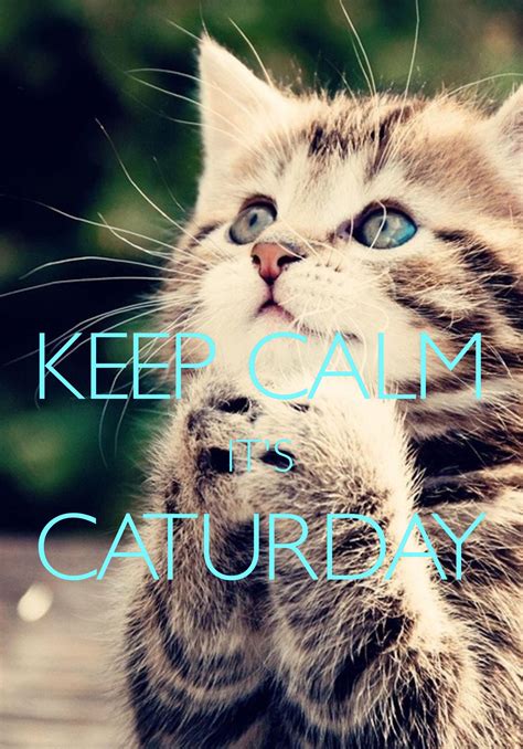 Keep Calm Its Caturday Created With Keep Calm And Carry On For Ios