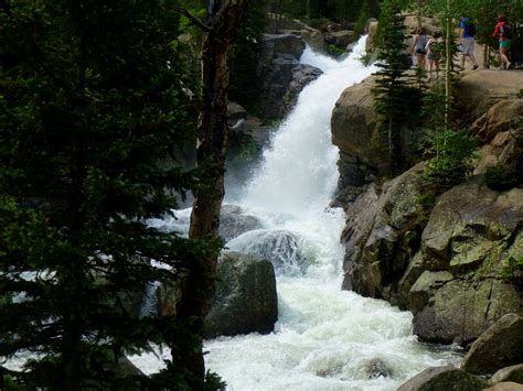 Alberta Falls Rocky Mountain National Park Co Live
