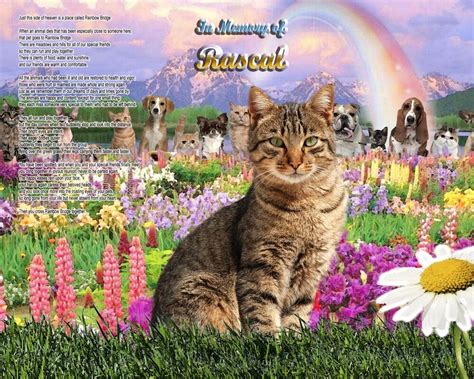 A sentimental affirmation of your love for your pet. Gray Tabby Cat Memorial Rainbow Bridge Poem Personalized w ...