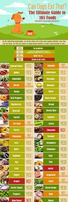 Check spelling or type a new query. Helpful list of foods that dogs can/can't eat :) | It's a ...
