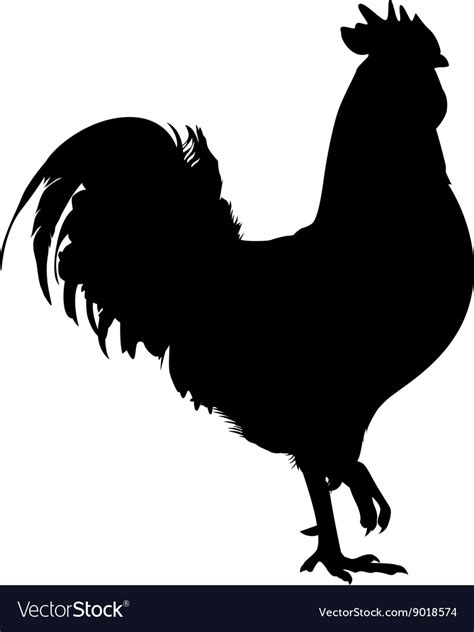 Rooster Bird Black Silhouette Royalty Free Vector Image