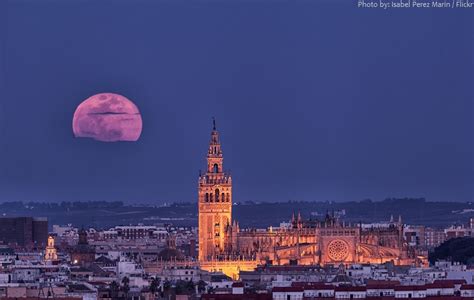 Interesting Facts About The Seville Cathedral Just Fun Facts