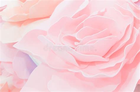 Sweet Color Roses Flower In Blur Style For Background Pattern Stock