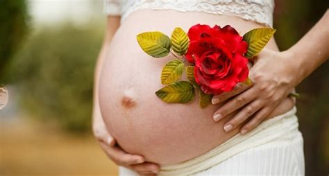 Guía Completa Del Embarazo Paso A Paso