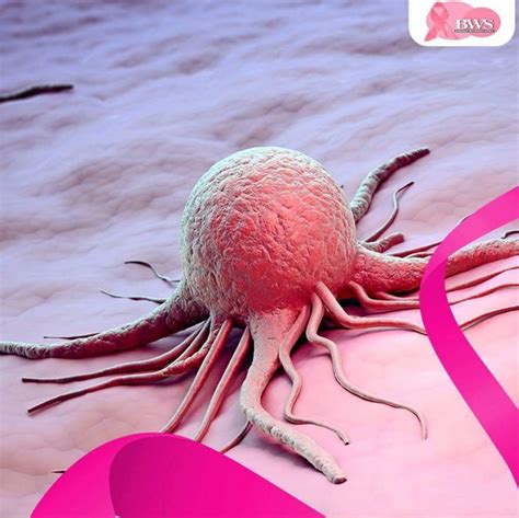 She will be faithful and true for as long as she feels safe and satisfied. Do you know what a cancer cell looks like? | Slaylebrity