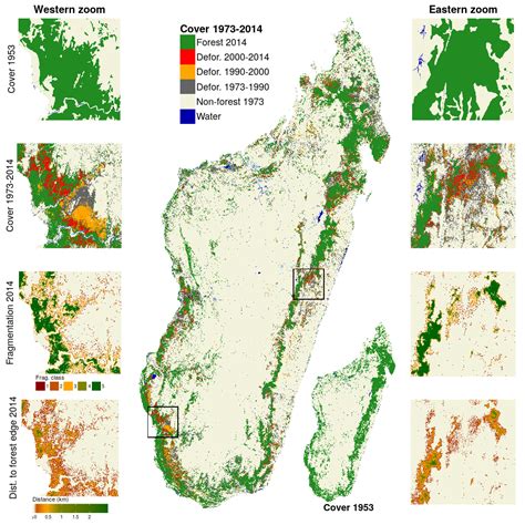 Before And After Deforestation Map