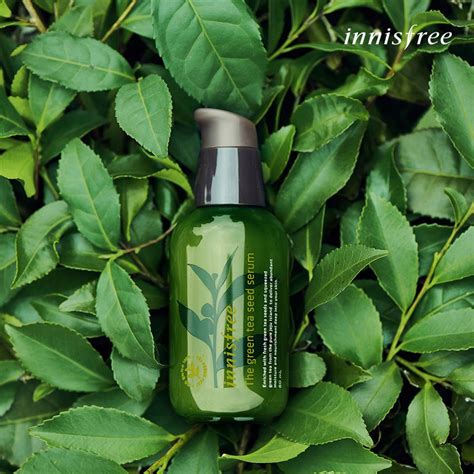 Enriched with green tea seed and green complex from pure jeju island, green tea pure revives dry, stressed skin by supplying abundant moisture. Review Tinh chất dưỡng ẩm Innisfree The Green Tea Seed ...