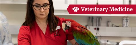 Pre Veterinarypre Professional Advising Office