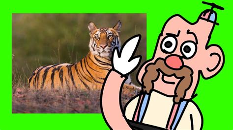 The Problems With Giant Realistic Flying Tiger And The RV Uncle