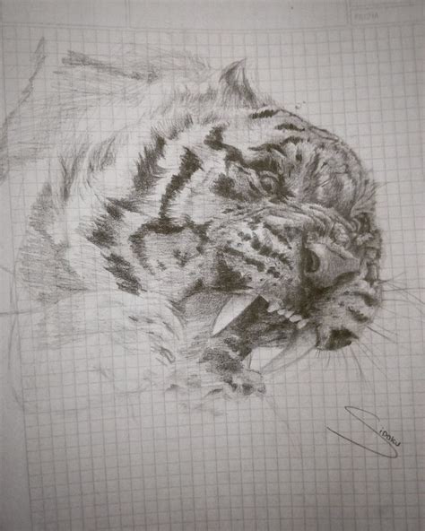 Tigre002 Por Sidoku Dibujando