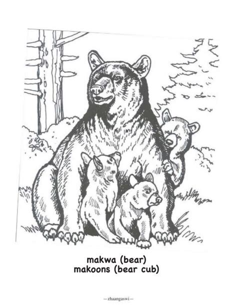46 Best Ideas For Coloring Ojibwe Coloring Pictures For Kids