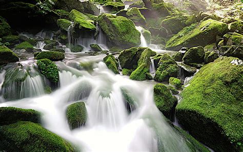 Waterfalls Waterfall Moss Hd Wallpaper Peakpx
