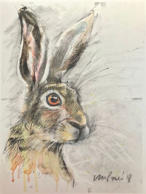 Hare 33 Charcoal Ink And Watercolour Hare Drawing 2018 Mixed Media